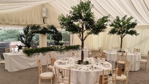 Rustic Green Tree Table Centrepieces