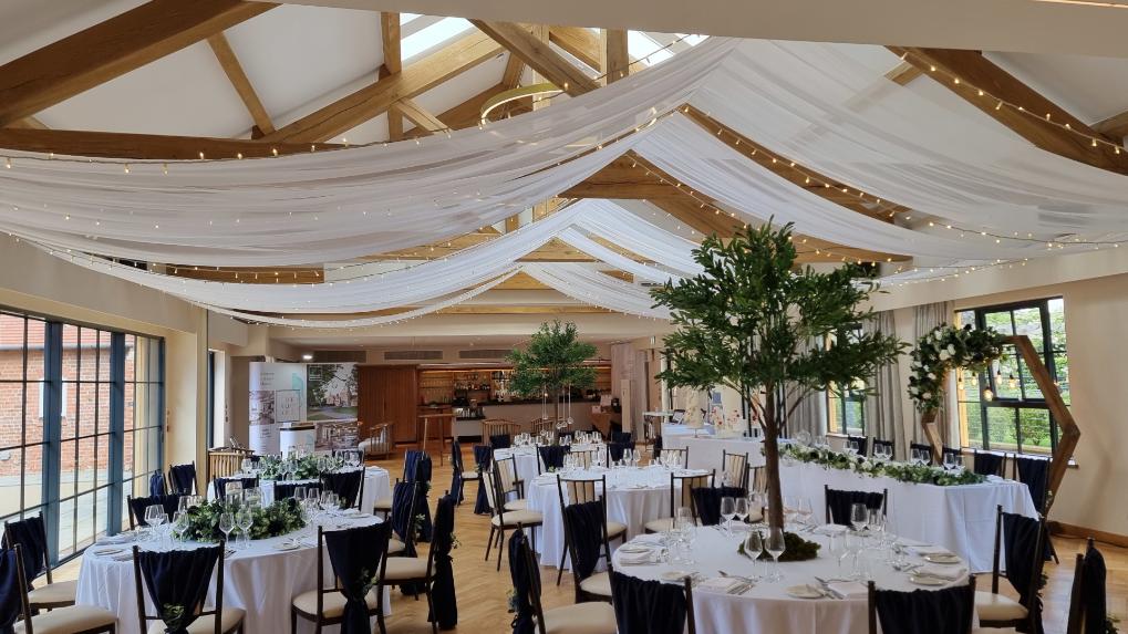 Chester Zoo The Square Venue Styling Ceiling Drapes Fairy Lights Trees